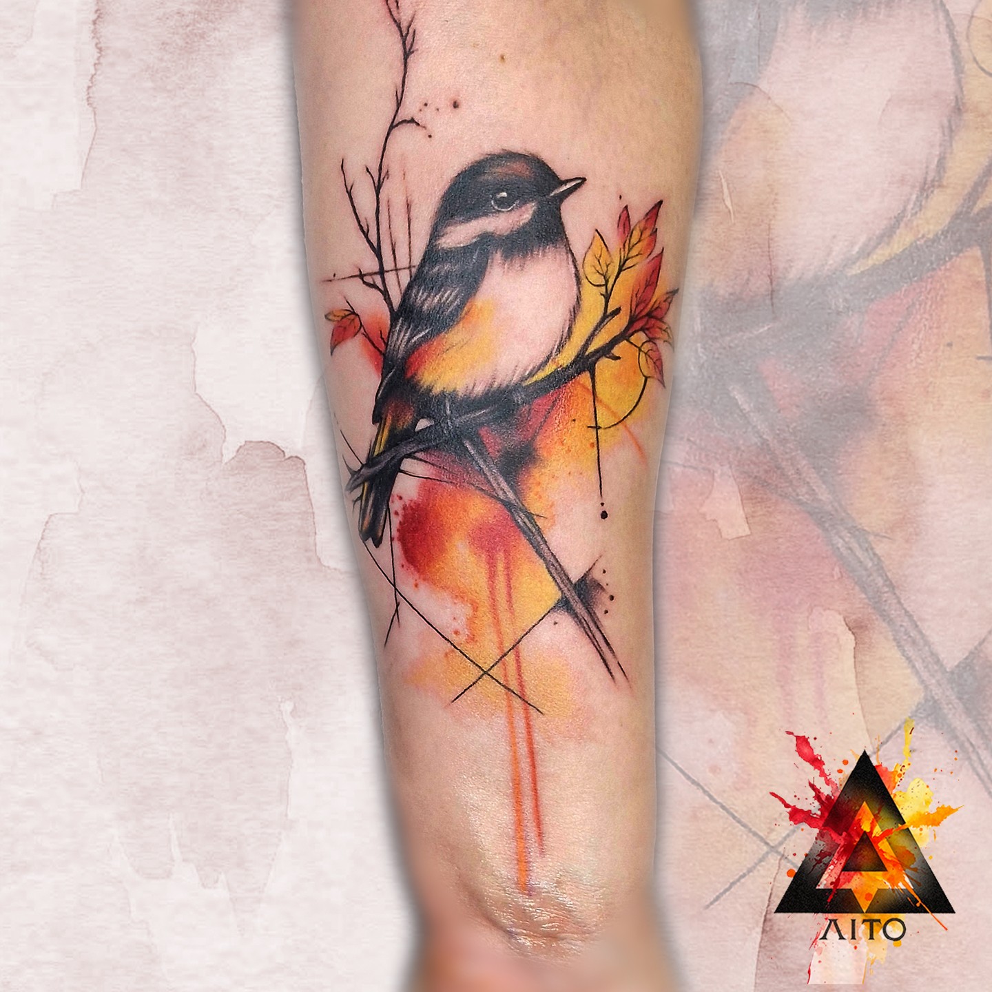 Oiseau aquarelle